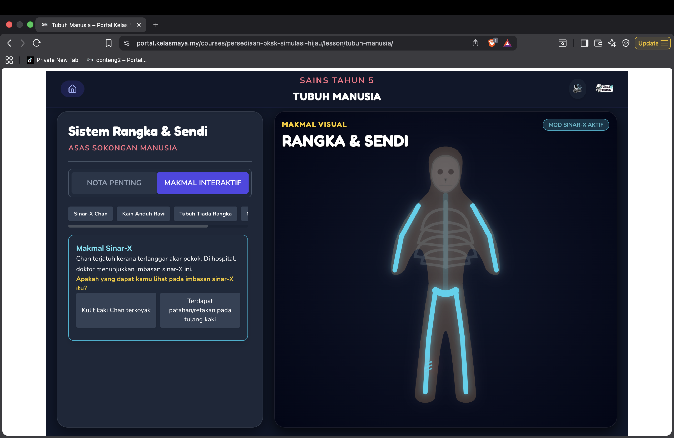 Tubuh Manusia