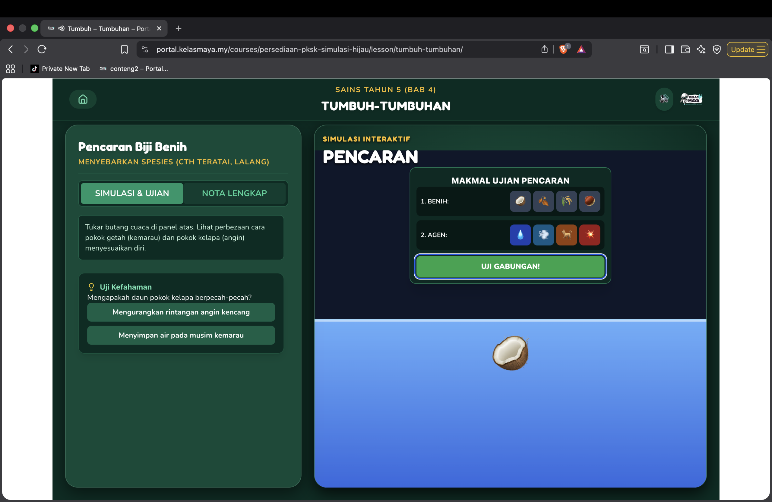 Tumbuh - Tumbuhan